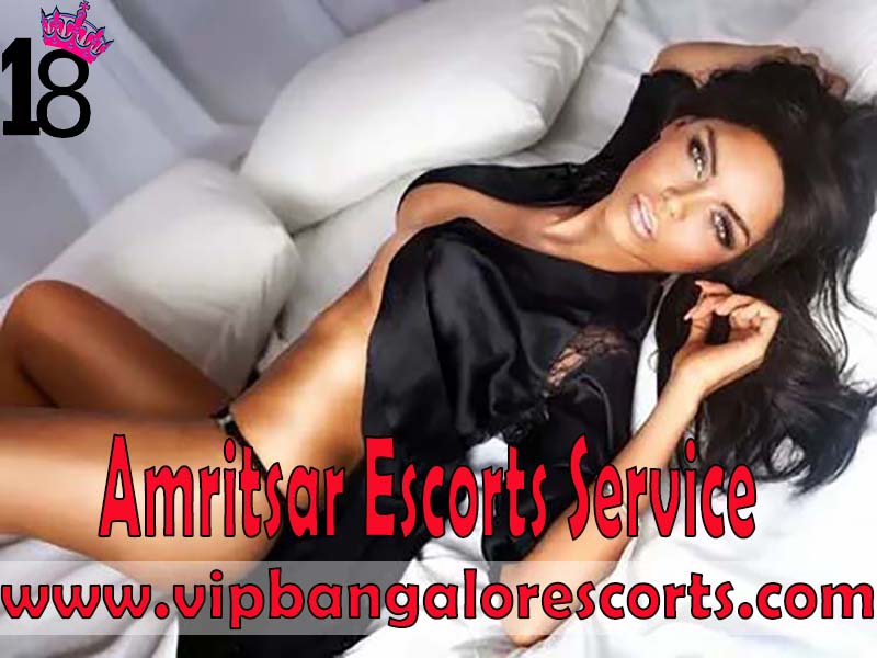 Amritsar Escorts Service