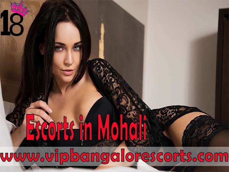 Escorts in Mohali